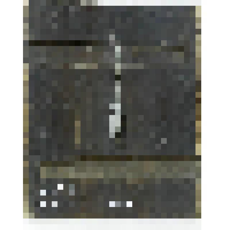 Спас Вседержитель. Икона