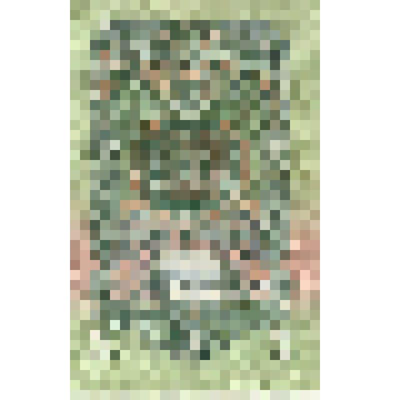 Государственный казначейский билет СССР. Три рубля