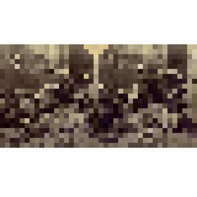 Фотоотпечаток. Сапожники. Оседлое население