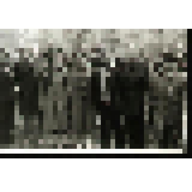 Фотография групповая. Трудящиеся Богословской ТЭЦ у Мемориала погибшим в годы Великой Отечественной войны на Бульваре Мира