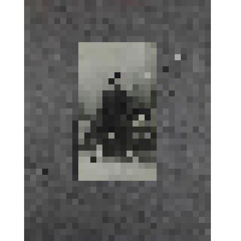 Фотография. Лесков Ярослав Андреевич (сын А.Н. Лескова, внук Н.С. Лескова) в детстве