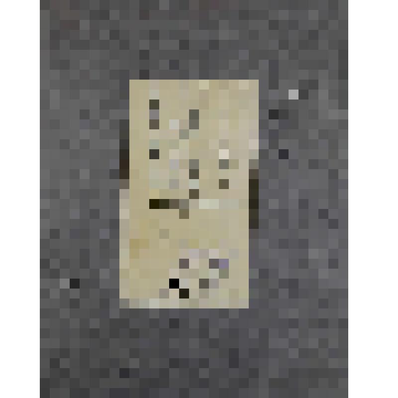 Фотография. Лесков Ярослав Андреевич (сын А.Н. Лескова, внук Н.С. Лескова) в детстве