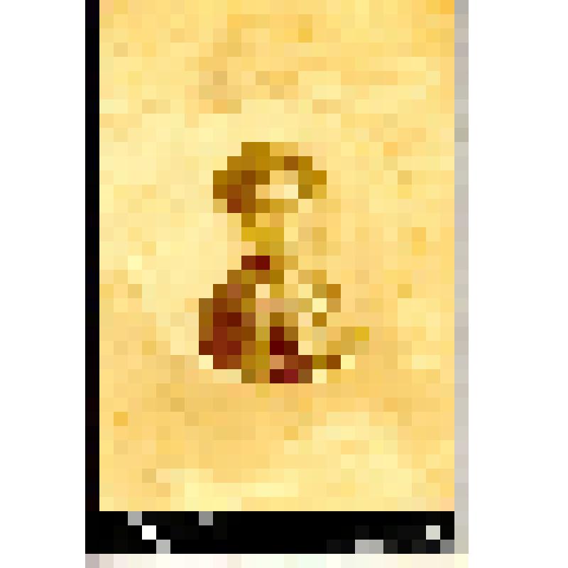 Фотография. Чапина Наталья Кириловна