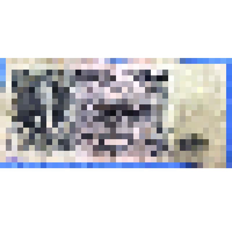 Билет Государственного банка