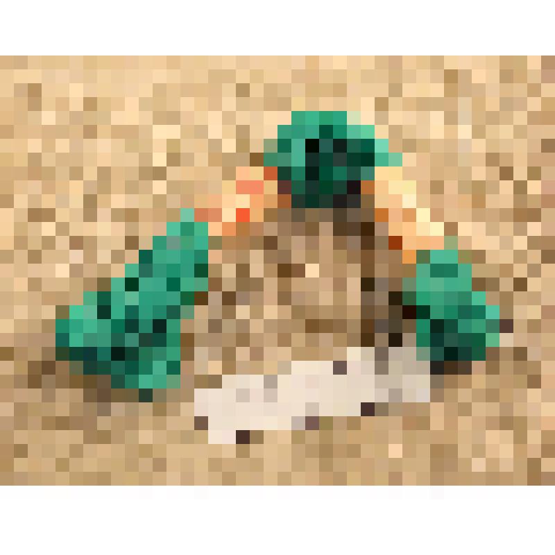 Мулине темно-зеленые, из коллекции нитей "мулине"