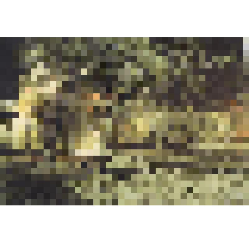 Открытка. Астрахань. Первый снег