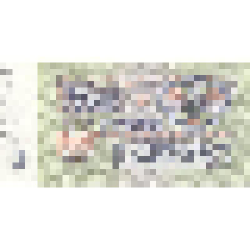 Государственный казначейский билет СССР 3 рубля. СССР (Дата изъятия 26 июля 1993 г.)