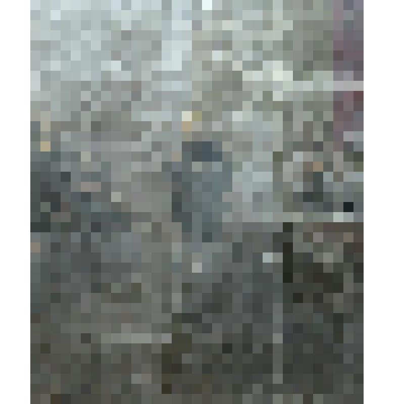 Выступление В.И.Ленина