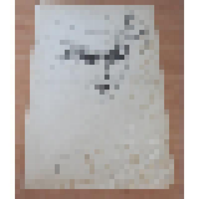 Рисунок Никонова Н.М