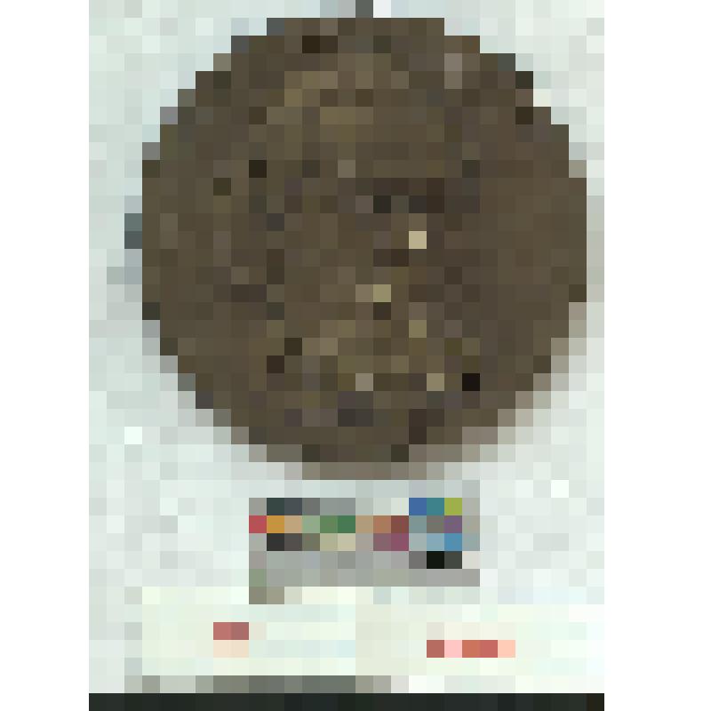 СССР. Медаль. Композитор М. П. Мусоргский