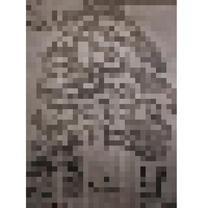 Родословная первого учителя  Галиева  Ахмета Абдулвалиевича