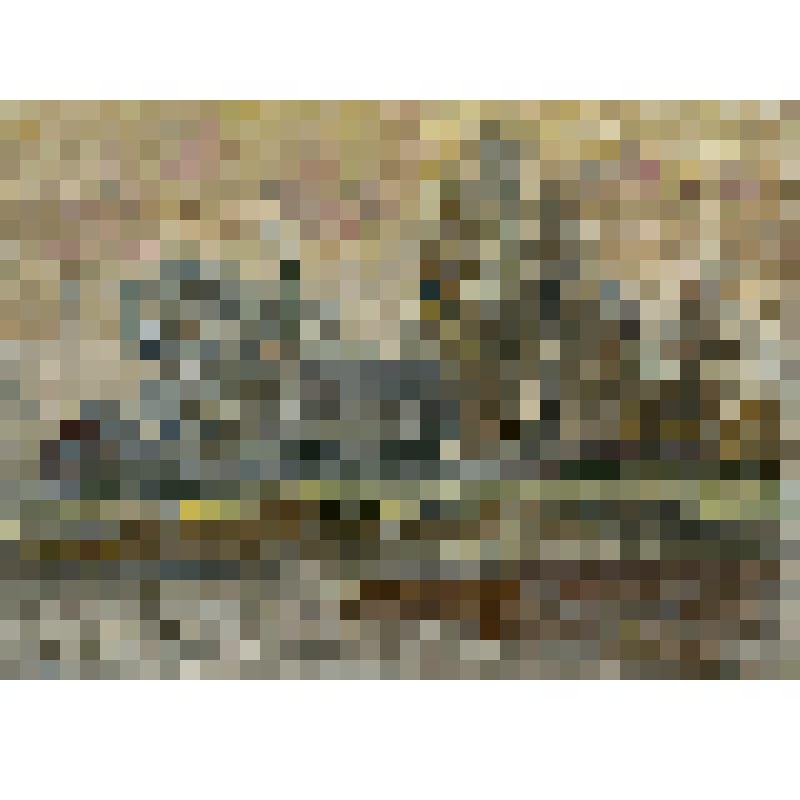 Гвасюги. Этюд