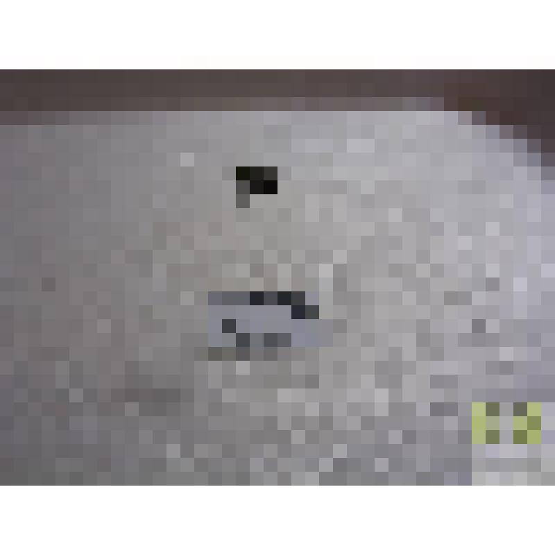 Быстряк вересковый (Agonum ericeti Pz.)