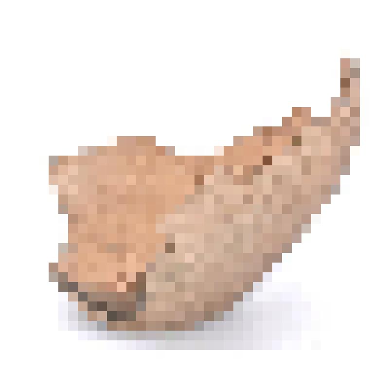 Сосуд (фрагмент)