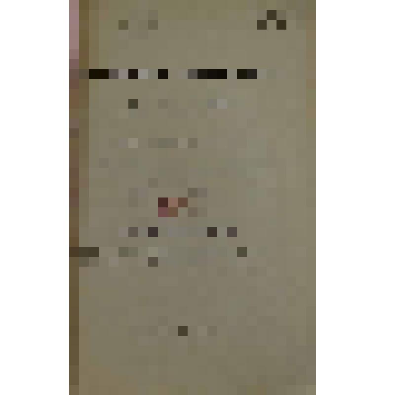 Труды Оренбургской ученой архивной комиссии. Вып. 27: Владимир Иванович Даль в Оренбурге