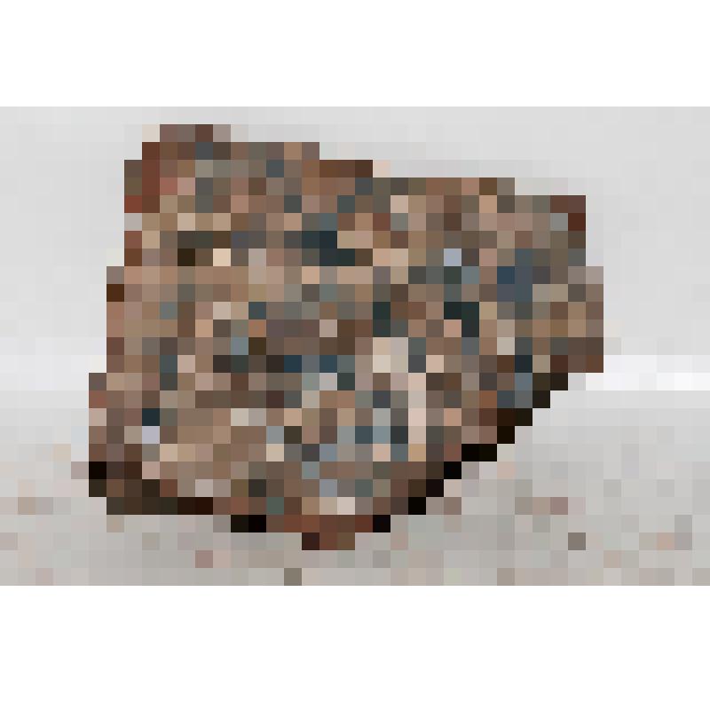 Изразец (фрагмент) рельефный двухцветный