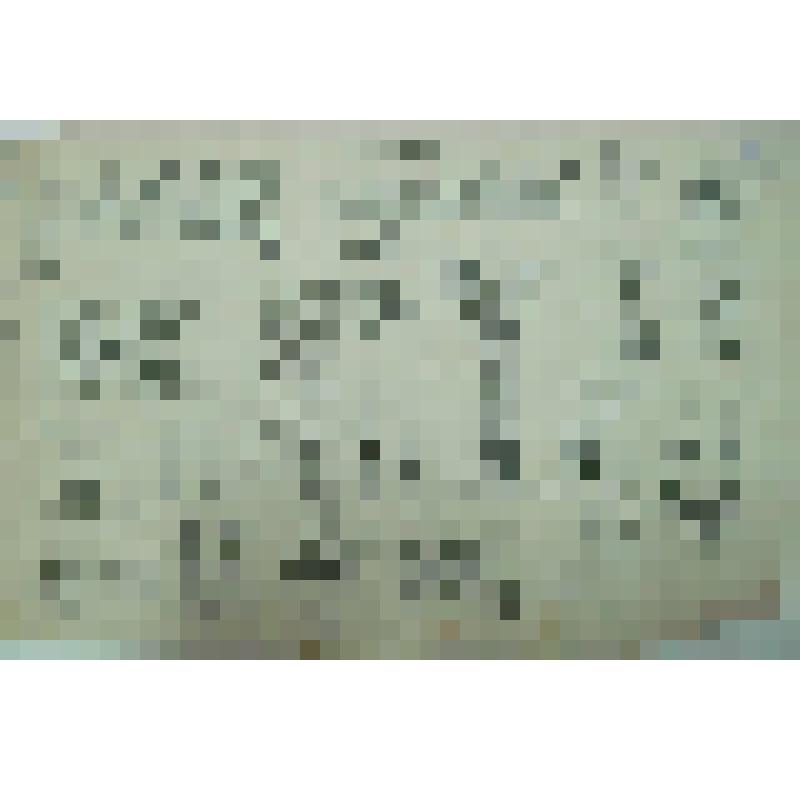 Орнамент. Прорисовка инициалов и орнаментальных полос. Рисунок