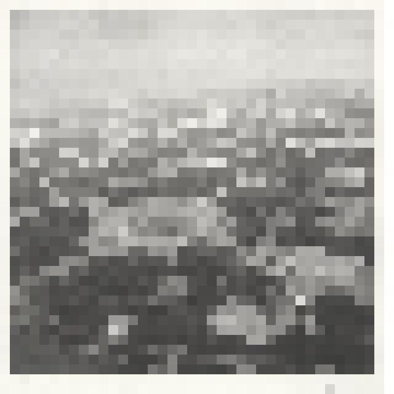 Лужники. Фотография