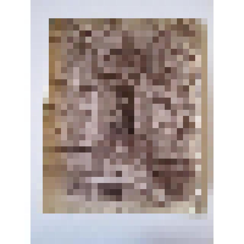 Палаццо Питти. 1458-1464 гг. Италия, Флоренция. Палаццо Питти. Первый этаж главного фасада. Под ним фонтан. Авт.Ф.Брунеллески