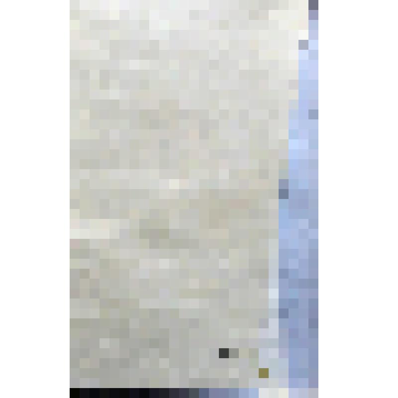 Гравюра. «Летнее настроение»