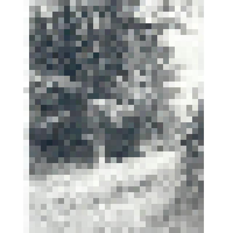 "Пейзаж с женщиной на поляне". Гравюра