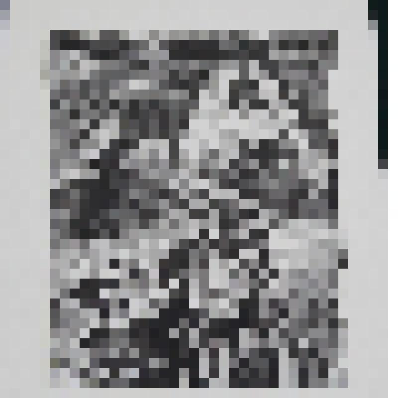 Линогравюра "А.Фет "Туманное утро."