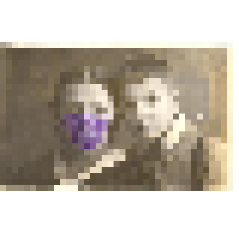 Фотография ч/б. Загорская - Паустовская Е.С. с сыном Вадимом. Начало 1930-х гг