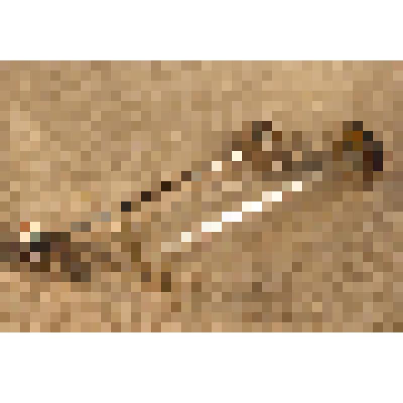 Шприц инъекционный «Рекорд» многократного применения. 20 млл, из коллекции предметов быта от сотрудников Саратовского областного музея краеведения