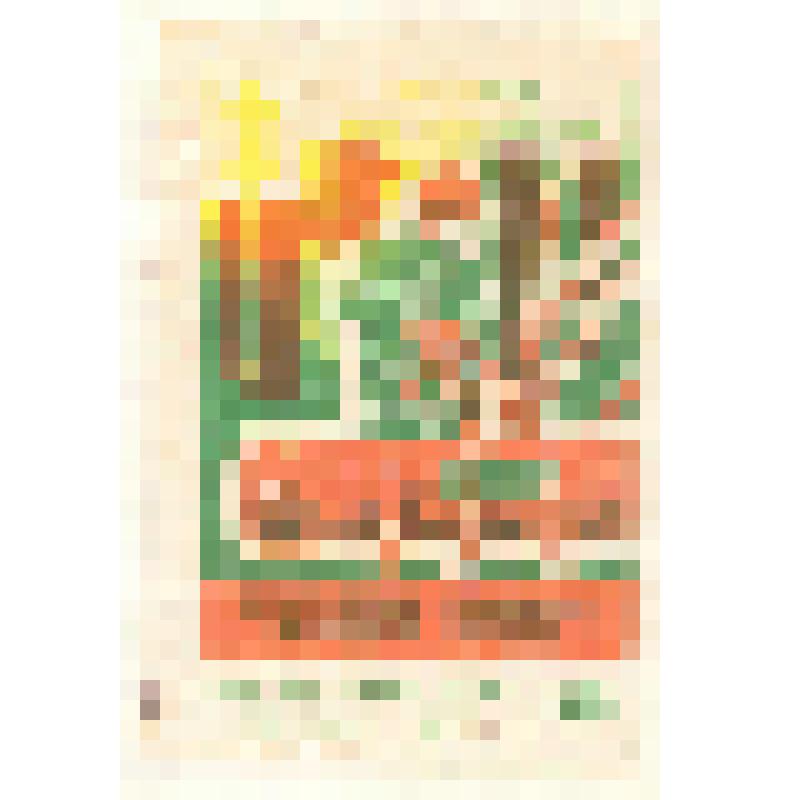 Коллекция спичечных этикеток Павла Немцова. "Соблюдай правила обрезки сучьев"