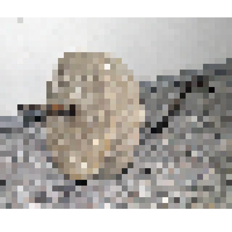 Жёрнов ручной