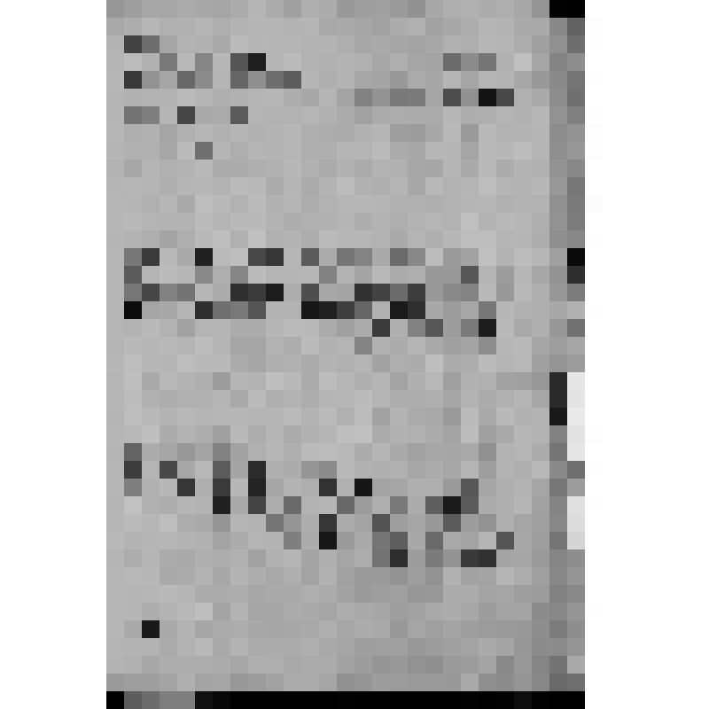 КОПИЯ ОТНОШЕНИЯ