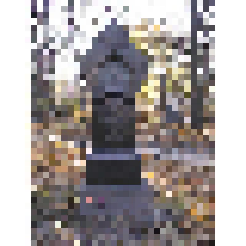 Памятник Шестаковой (урожд. Глинка) Людмиле Ивановне (1816-1906). Жертвенник с барельефным портретом