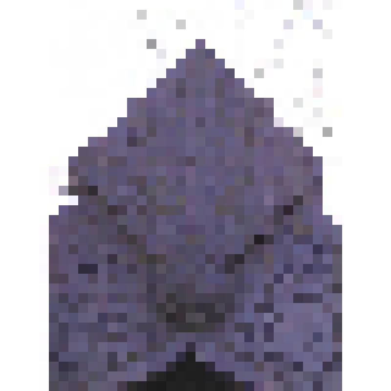 Памятник Шестаковой (урожд. Глинка) Людмиле Ивановне (1816-1906). Жертвенник с барельефным портретом