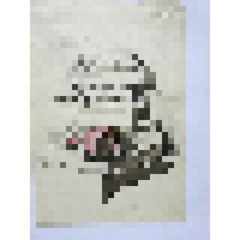 Альбом с проектными чертежами, с эскизами, зарисовками архитектурных памятников и деталей, произведений скульптуры и декоративно-прикладного искусства, пейзажными зарисовками, тематическими рисунками исторического жанра и по мотивам воспоминаний детства и