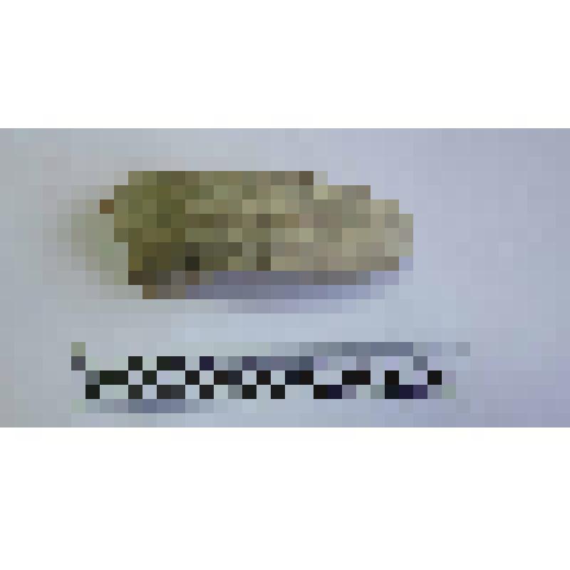Ручка амфоры типа Зеест 72