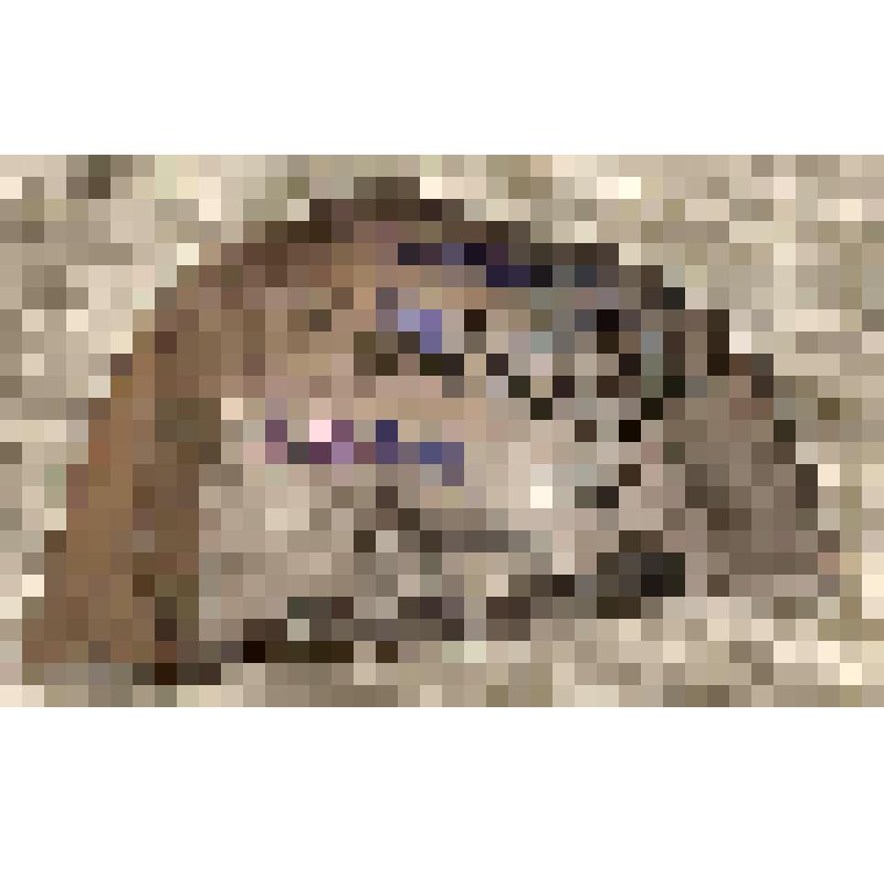 Скребок (фрагмент)