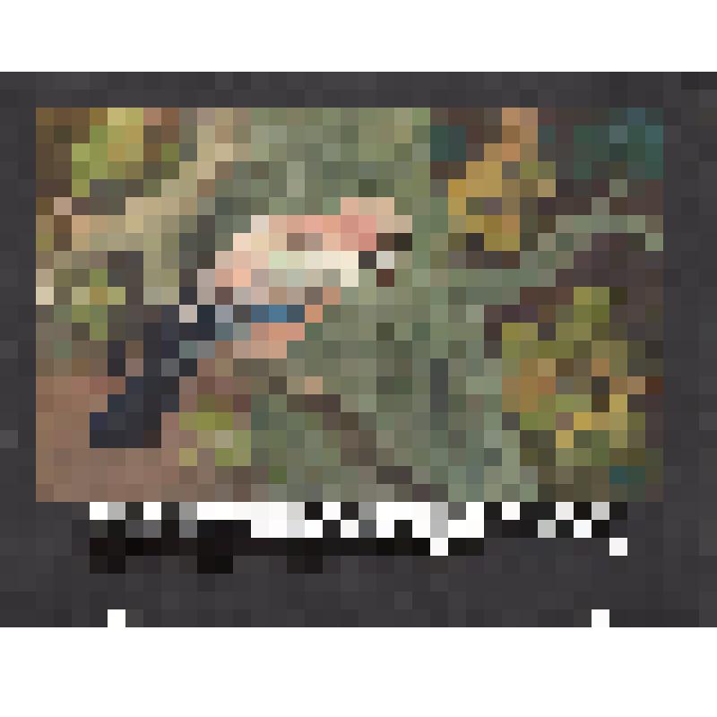 эскиз кадра к макету диафильма. Лист № 17: Сойка
Фильм: Кто как к зиме готовится. 1989