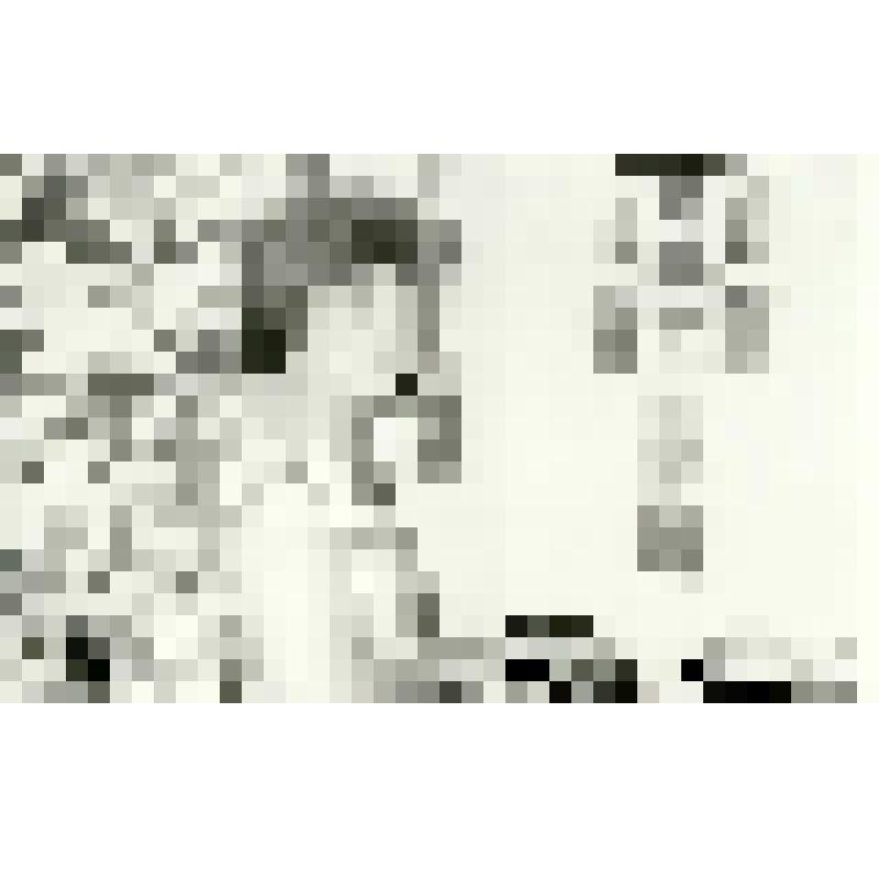 Фотография. Сухорукова М.А. перед стеной с иконами