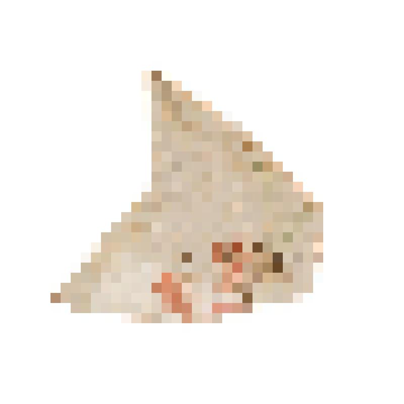 Блюдце, фрагмент бортика орнаментированный