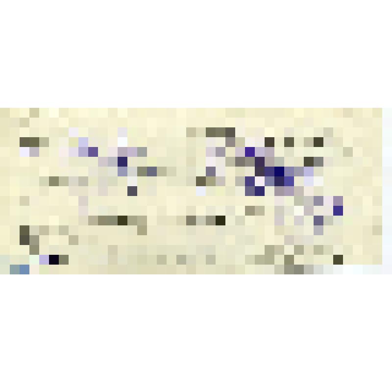 Командировочное удостоверение № 404 от 18.03.1975 г. Трайнина Петра Афанасьевича, командированного совхозом им. Ильича в г. Москву сроком на 15 дней