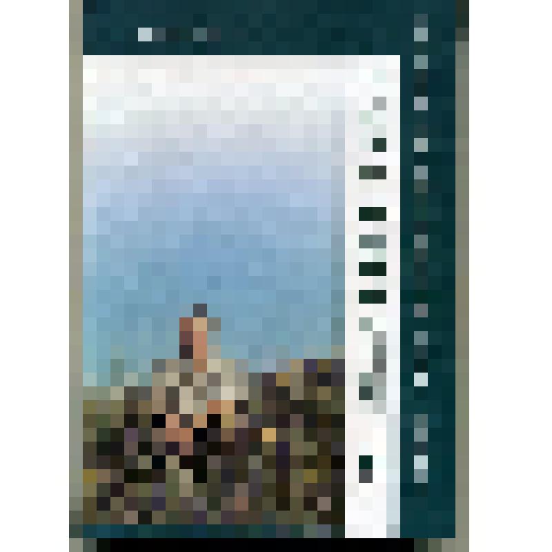 Книга. «Нету мне в жизни покоя». Судьба и творчество Александра Малиновского. Самара: Издательский дом «Агни», 2001г