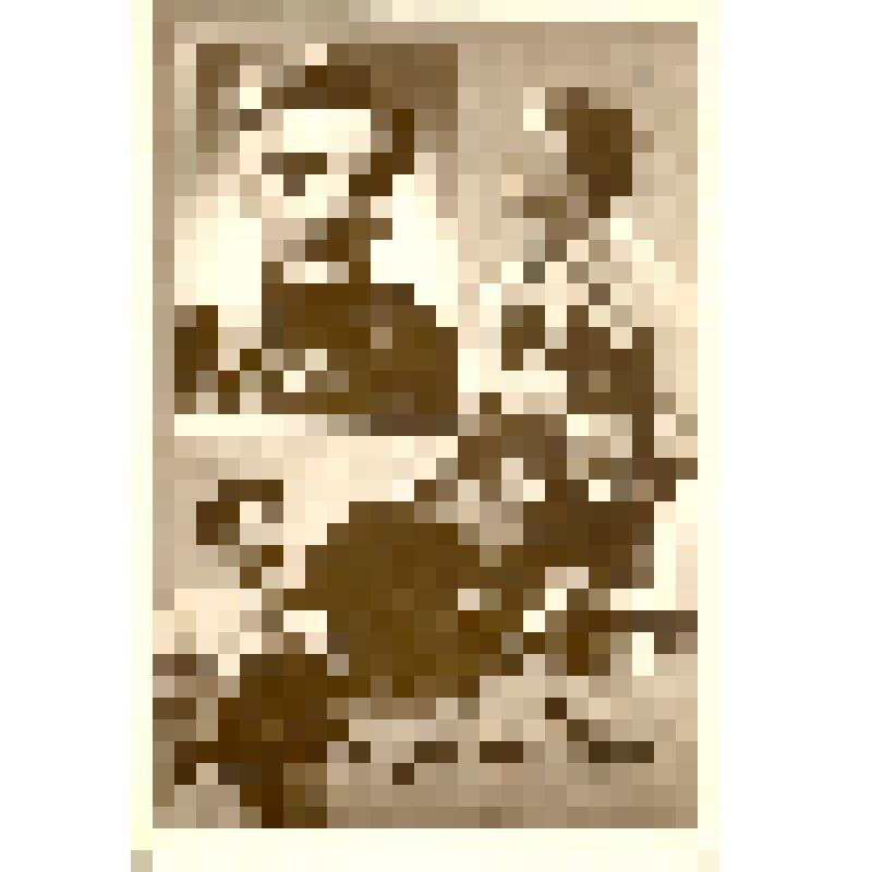 Набор почтовых открыток из 8 шт., ч/б