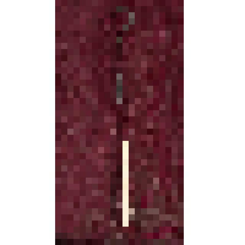 Коробка с костяными бирюльками: крючок