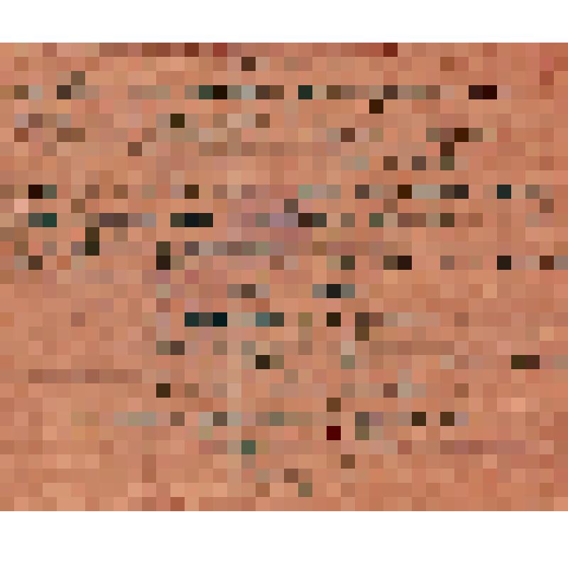 Протокол N2 общего собрания членов Мало-Быковского волостного товарищества и примерный Устав смешанного с/х кредитного кооперативного товарищества