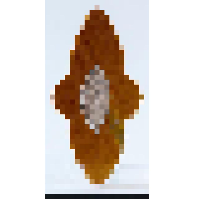 Мозаичная вставка