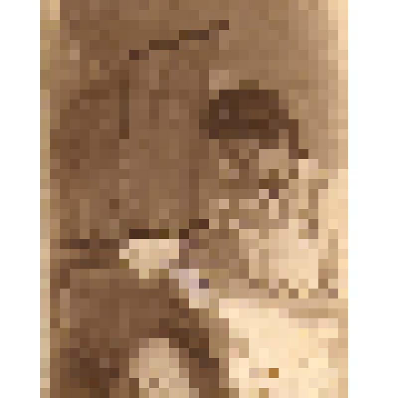 М.И.Щепкина-Самойлович (первая жена Р.Л.Самойловича) с дочерью Софьей Самойлович