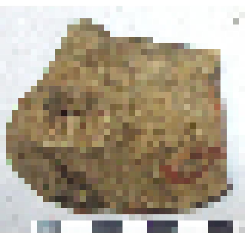 Фрагмент плеча амфоры типа D с дипинто