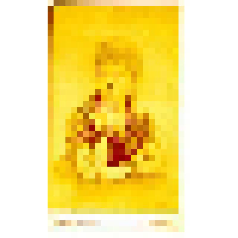 Фотография. Мицкевич Адель Адамовна