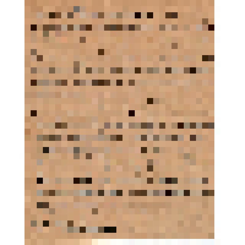 Выписка из Постановления N 21 Президиума Адамовского РИКа об утверждении проекта о закреплении земель за сельхозартелью "Новый быт"