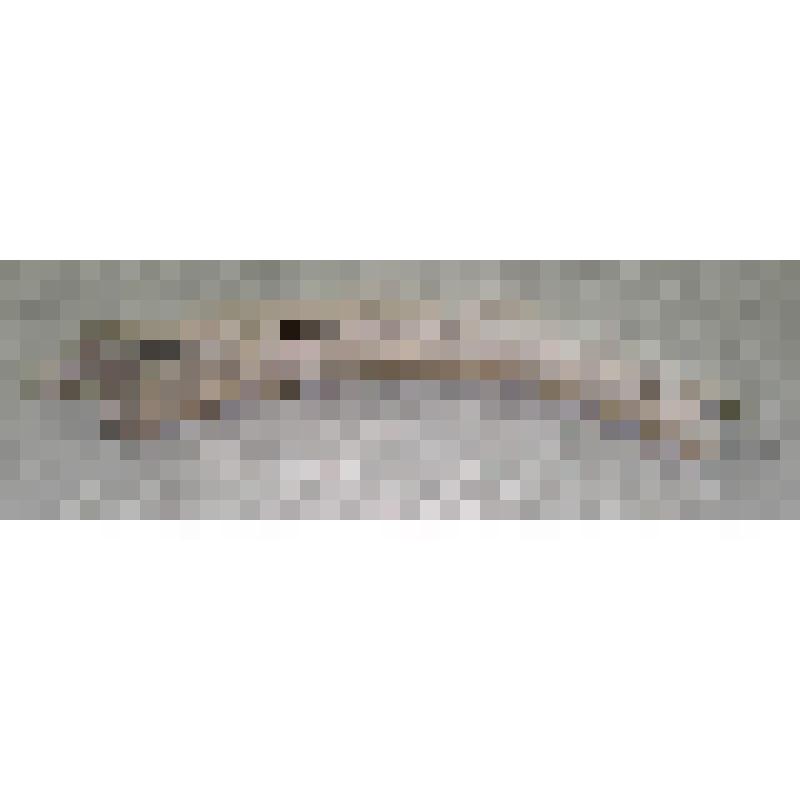 Бивень мамонта. Бивень мамонта (обломок)